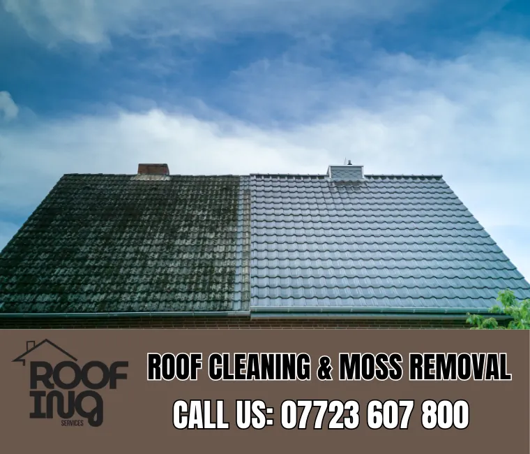 Roof Cleaning in Perranporth